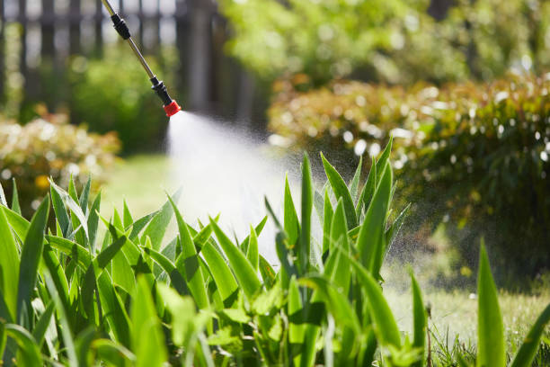24/7 Emergency Wasp Removal experts in Mundelein, IL