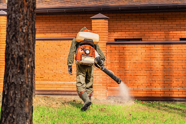 Top rated local Wasp Removal specialists in Mundelein, IL